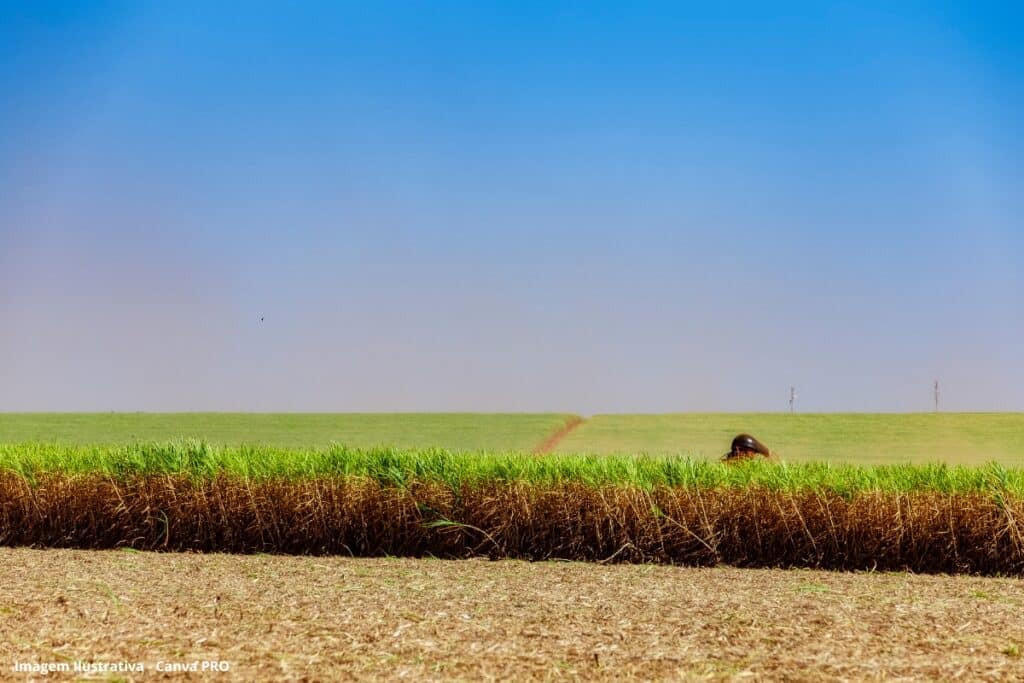 Bioeletricidade ganha força como aliada do Brasil na seca