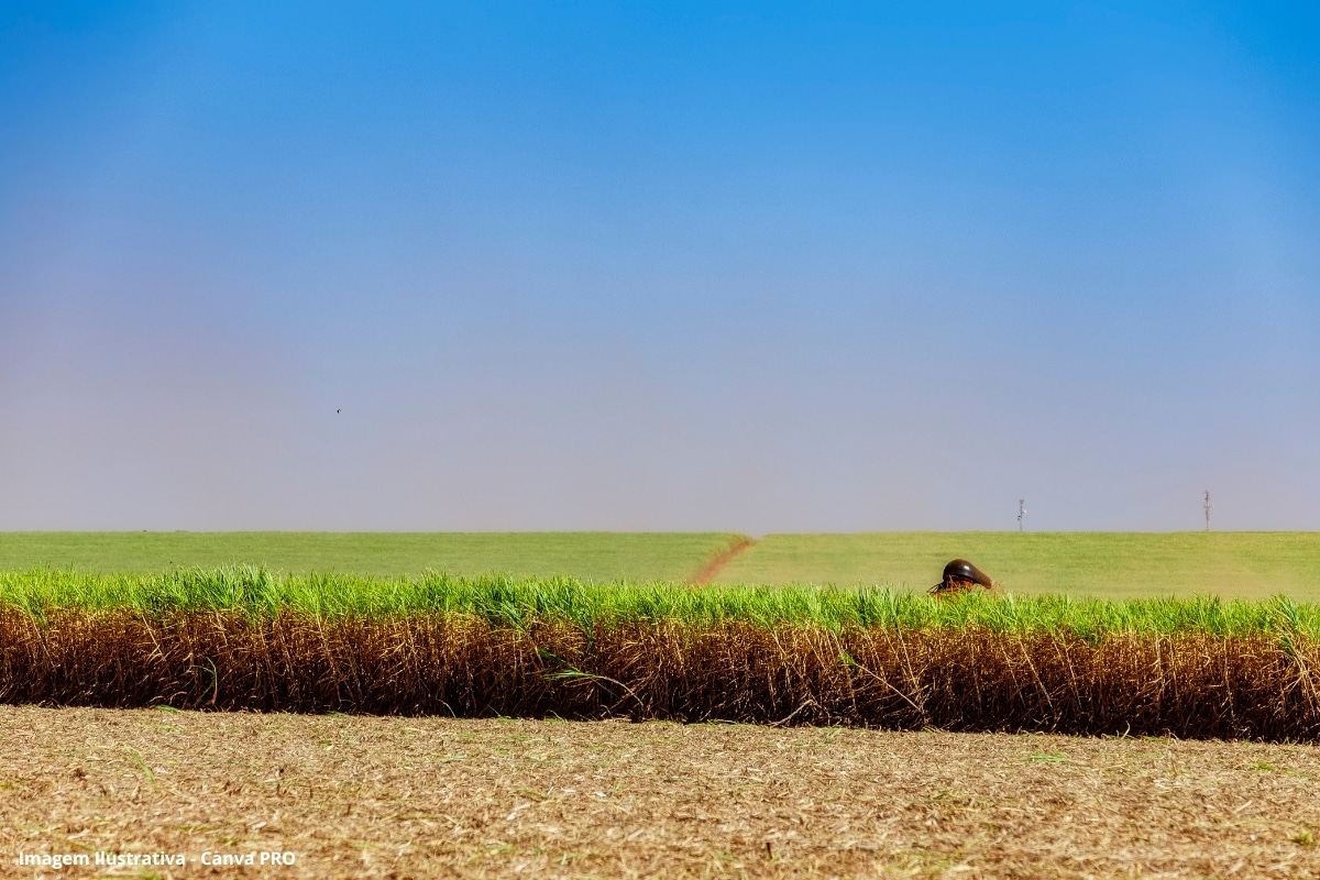 Bioeletricidade ganha força como aliada do Brasil na seca