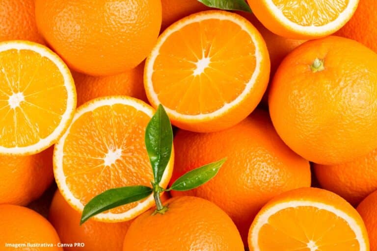 Pesquisa brasileira biocarvão de laranja pode descontaminar a água