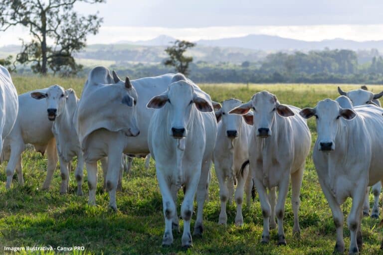 SP Data centers multiplicam-se em plena escassez hídrica (1)