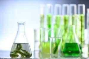 Biocombustíveis devem ter aporte de R$ 106 bilhões até 2035