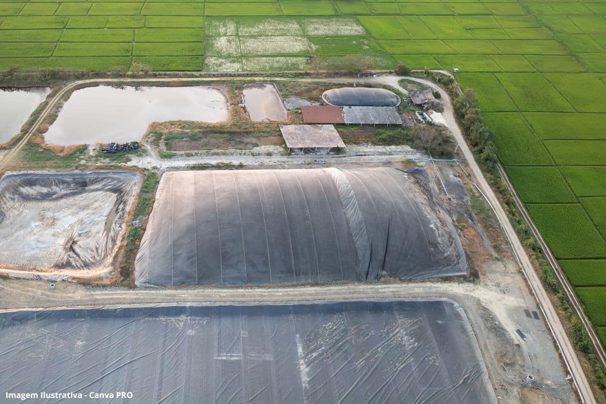 Do lixo à energia: a ascensão do biometano e do biogás no Rio Grande do Sul