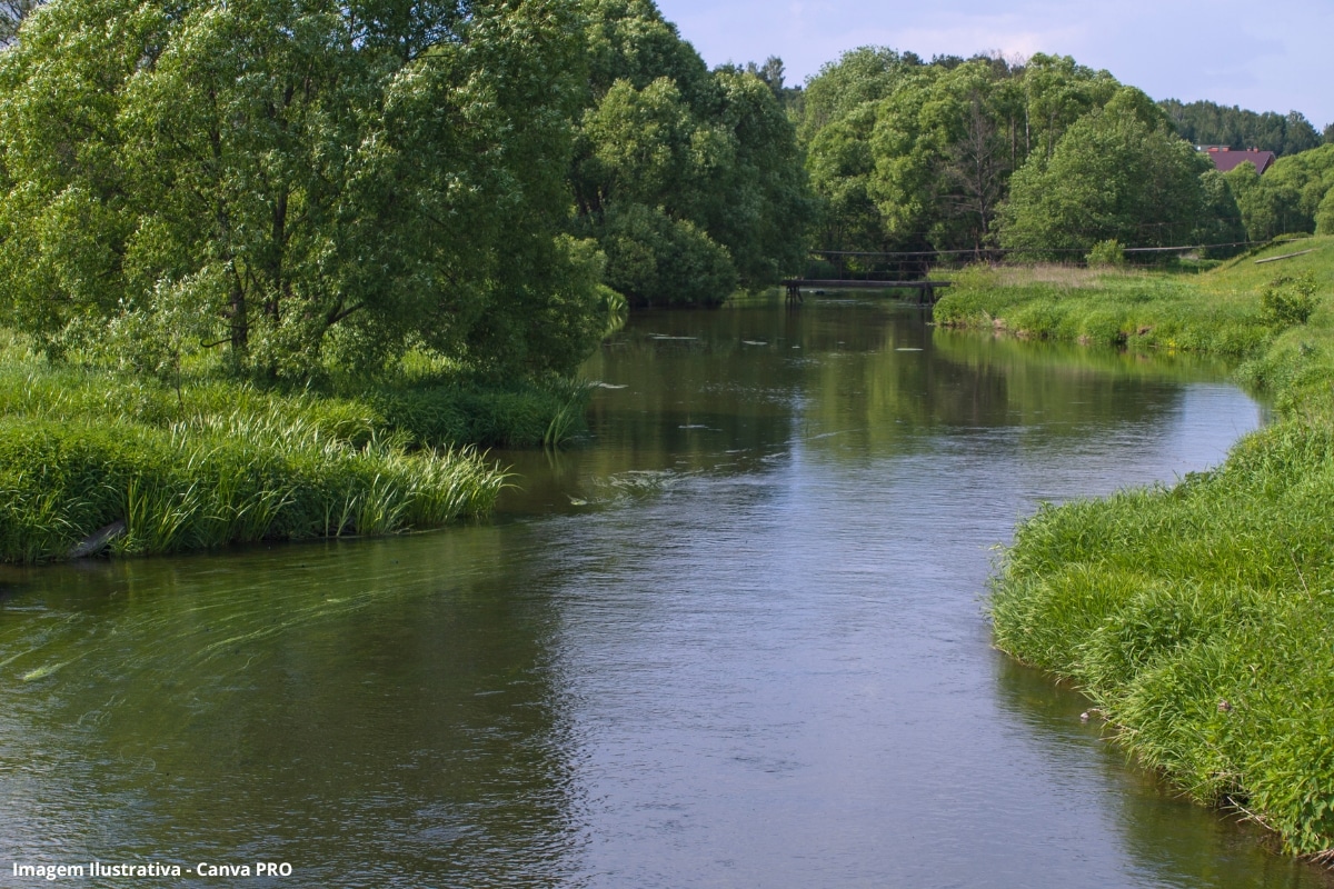 Herbicida associado ao câncer é detectado em rios