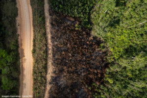 Queda do desmatamento em biomas é confirmada pelo INPE