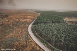 Amazônia Legal desmatamento prevalece em torno de áreas protegidas TA