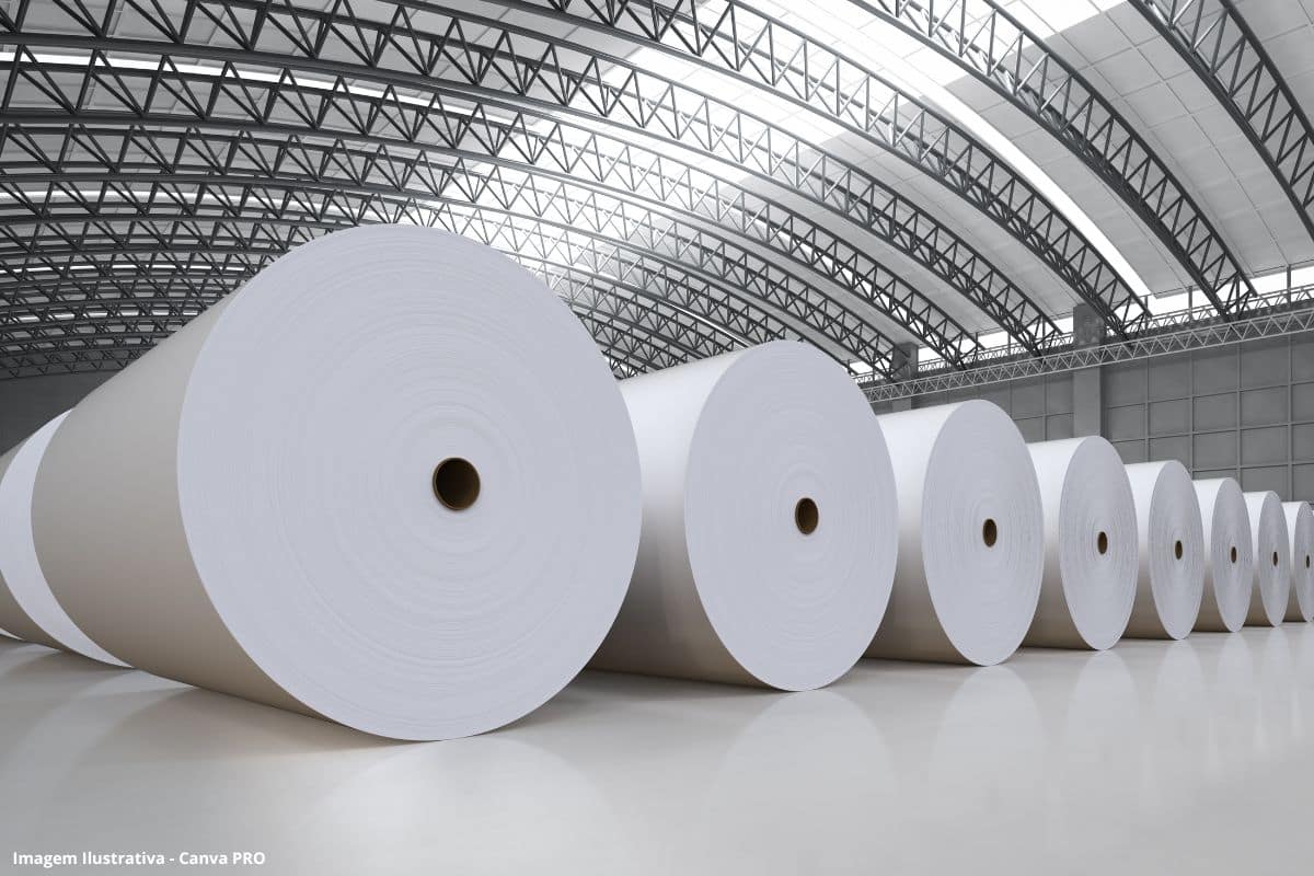 Indústria de papel e celulose apresentou crescimento de mais de 10% em Minas em 2025