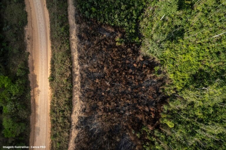 Lei do licenciamento ambiental entra em vigor com ações no STF