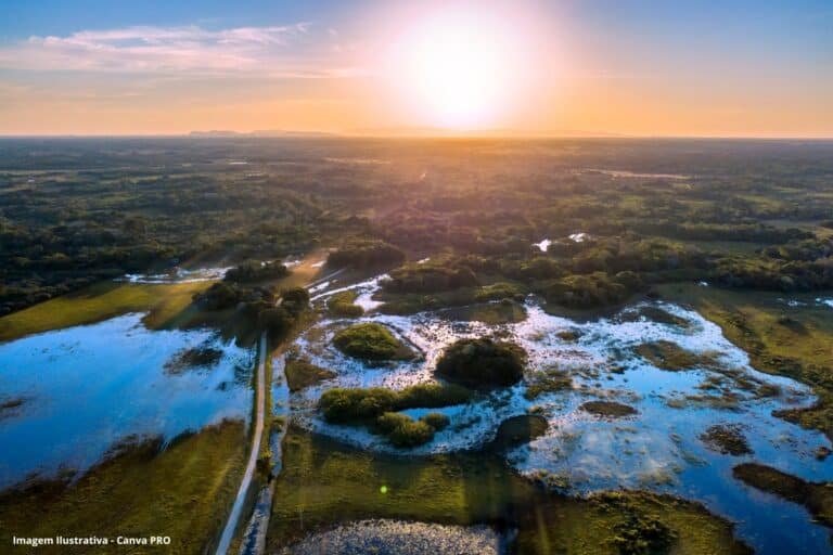 Pantanal é o bioma brasileiro que mais aqueceu e perdeu chuvas em 40 anos
