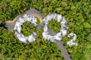 Plataforma integra dados sobre emissões e absorções de gases de efeito estufa da Floresta Amazônica
