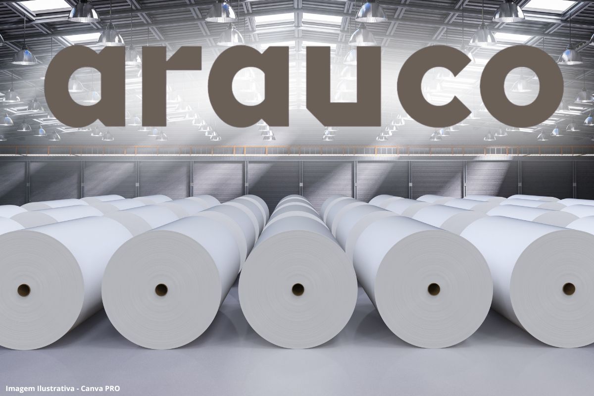 Arauco investe em megafábrica no Brasil e tenta evitar rebaixamento em meio à crise da celulose (1)