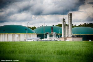 Biocombustível reduz emissões de gases de efeito estufa