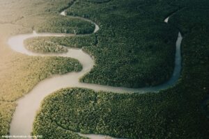 Falta de saneamento mantém qualidade da água dos rios da Mata Atlântica precária, aponta estudo (1)
