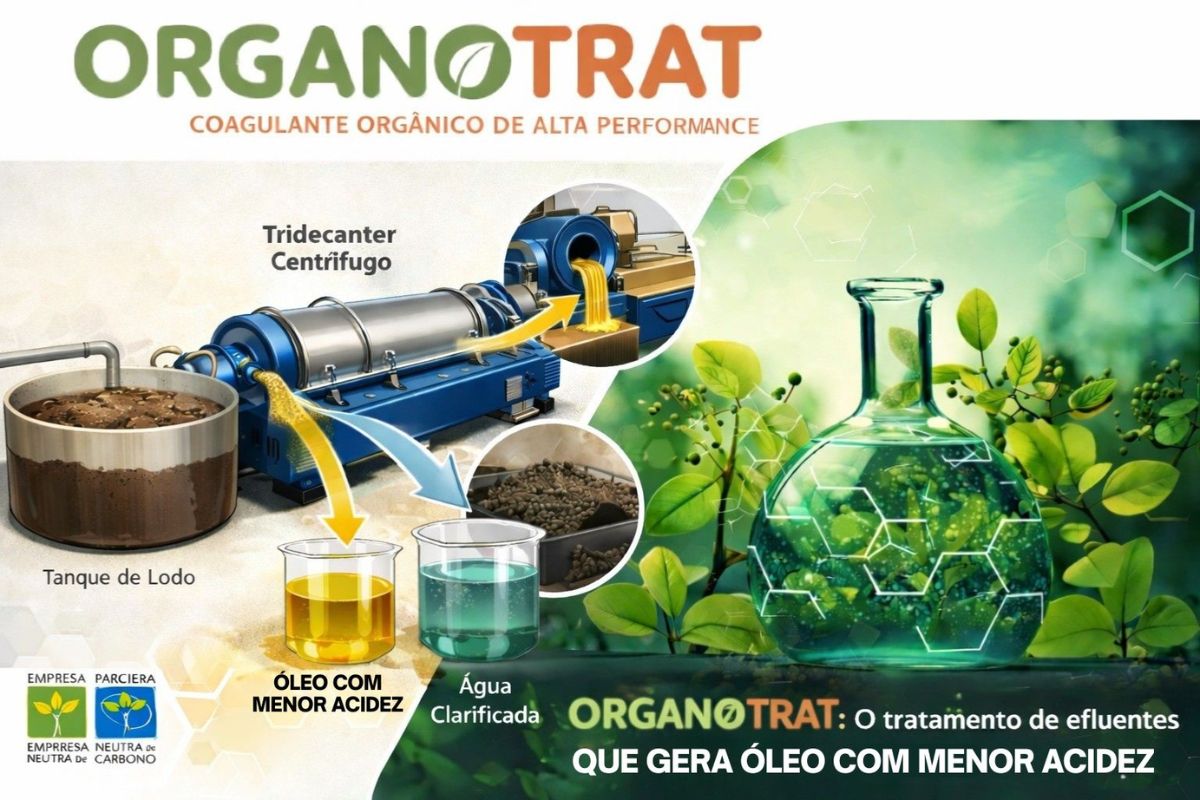 Organotrat na Recuperação de Óleo Ácido em Abatedouros Estratégia Técnica e Financeira para Maximizar o Valor do Biodiesel