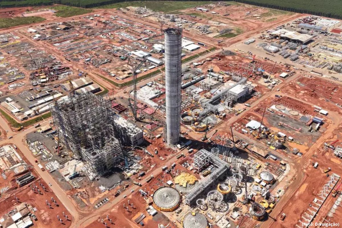 Projeto Sucuriú maior fábrica de celulose do mundo em construção