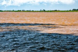 Saiba como a renaturalização de rios pode ajudar cidades brasileiras a se adaptar às mudanças climáticas