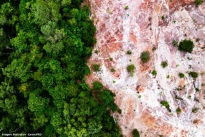 Brasil mobiliza mais de 200 contribuições para zerar desmatamento global até 2030