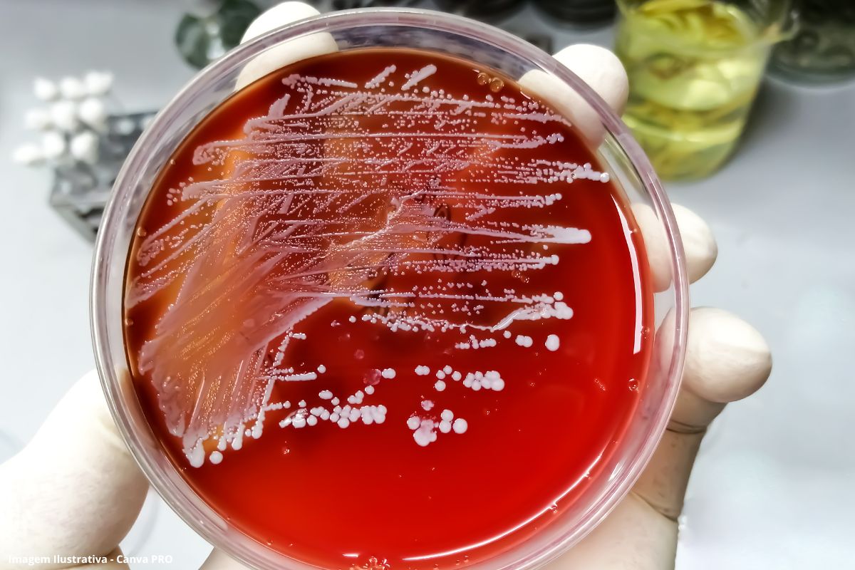 Cientistas descobrem 45 novas toxinas em bactérias causadoras de infecções alimentares