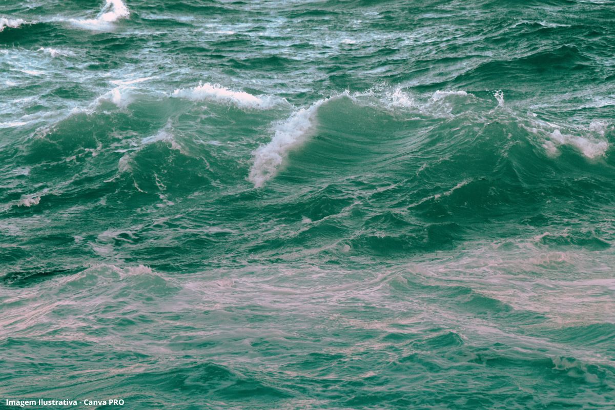 De inseticida a remédio, poluentes sintéticos contaminam praticamente todo o oceano (1)