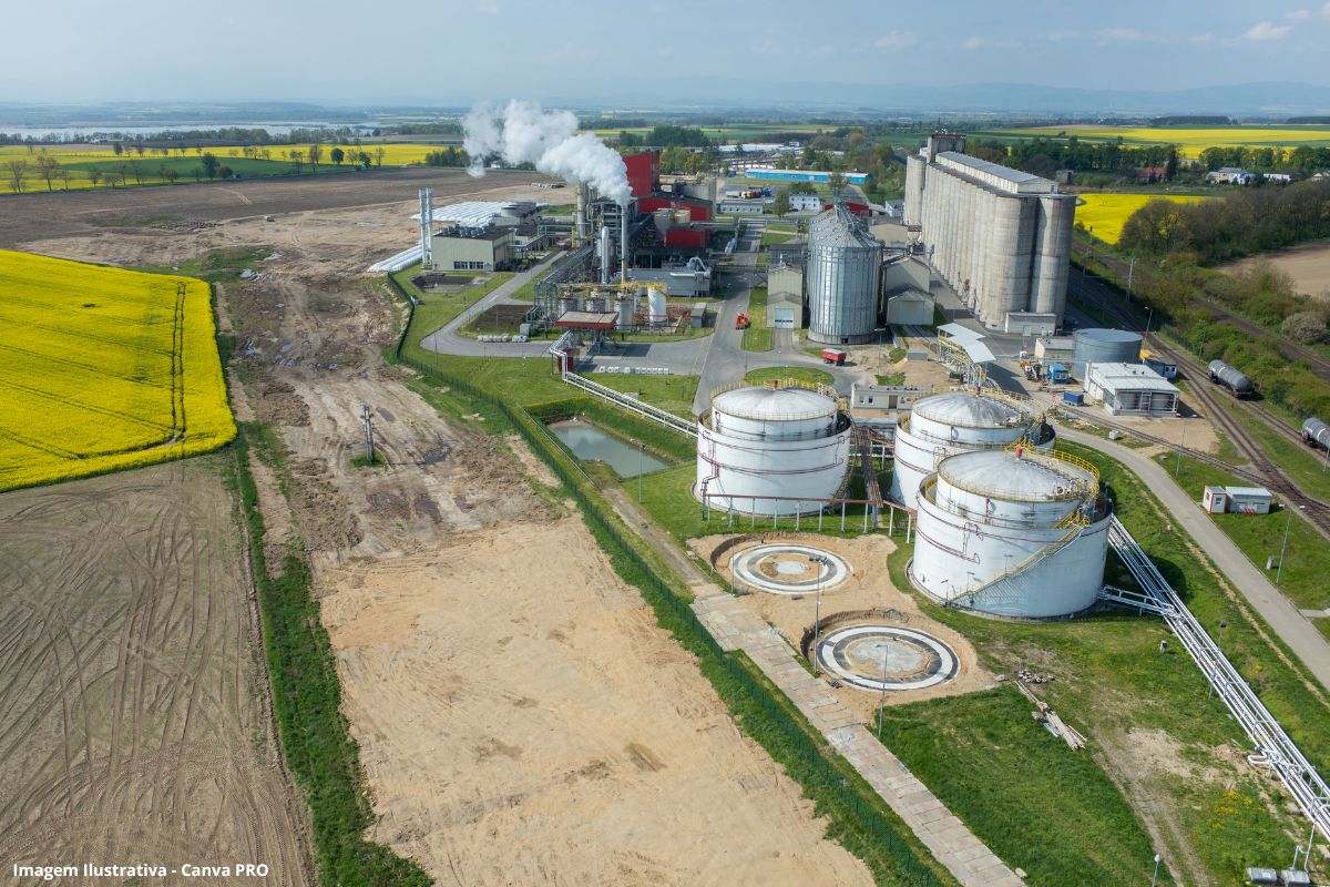 Do desafio ao biometano como a suinicultura do Oeste paranaense transformou dejetos em energia e fertilizante
