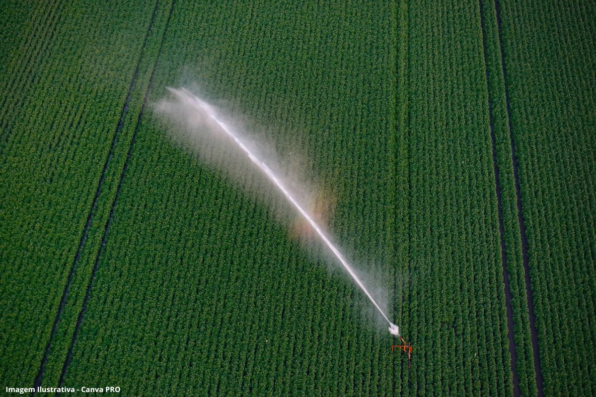 Irrigação com água de reúso no Brasil aplicação do modelo semiquantitativo de avaliação de risco microbiológico para saúde humana