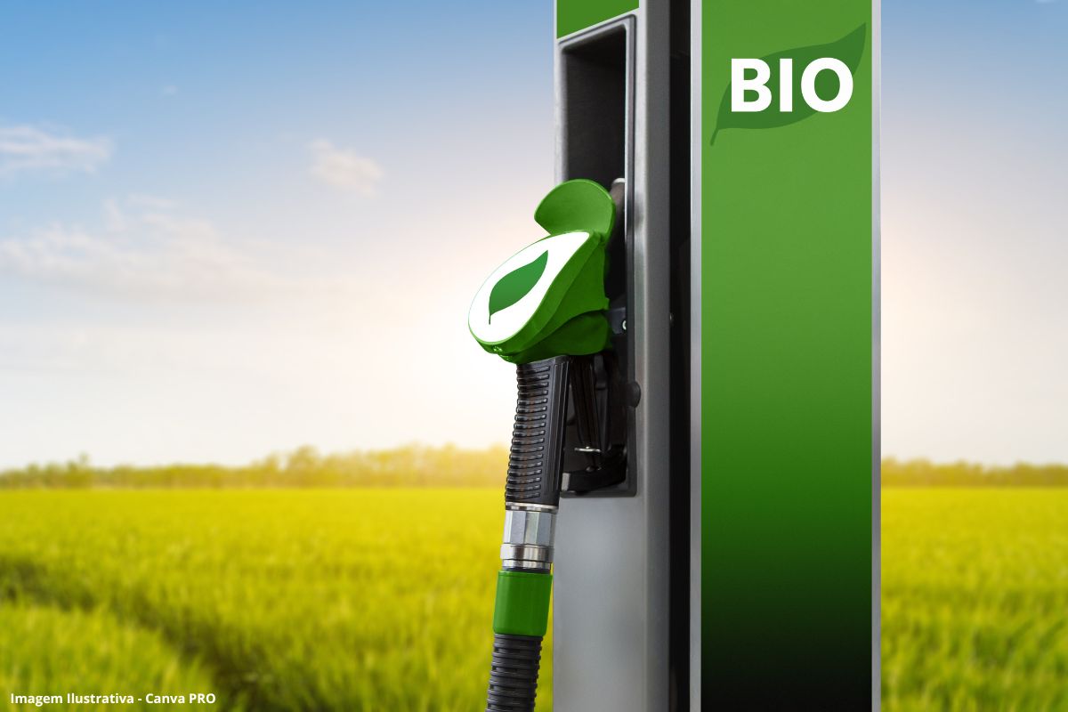 MME e MMA publicam portaria para ampliar uso de resíduos na produção de biocombustíveis