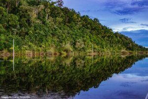 MPF recorre contra licença para perfuração na Foz do Amazonas