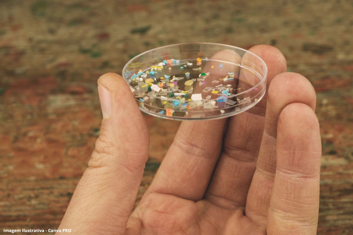 Microplásticos em biossólidos um desafio emergente para o ciclo urbano da água