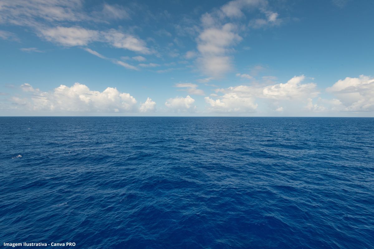 Mudanças climáticas: como a deficiência de oxigênio altera os processos metabólicos no oceano