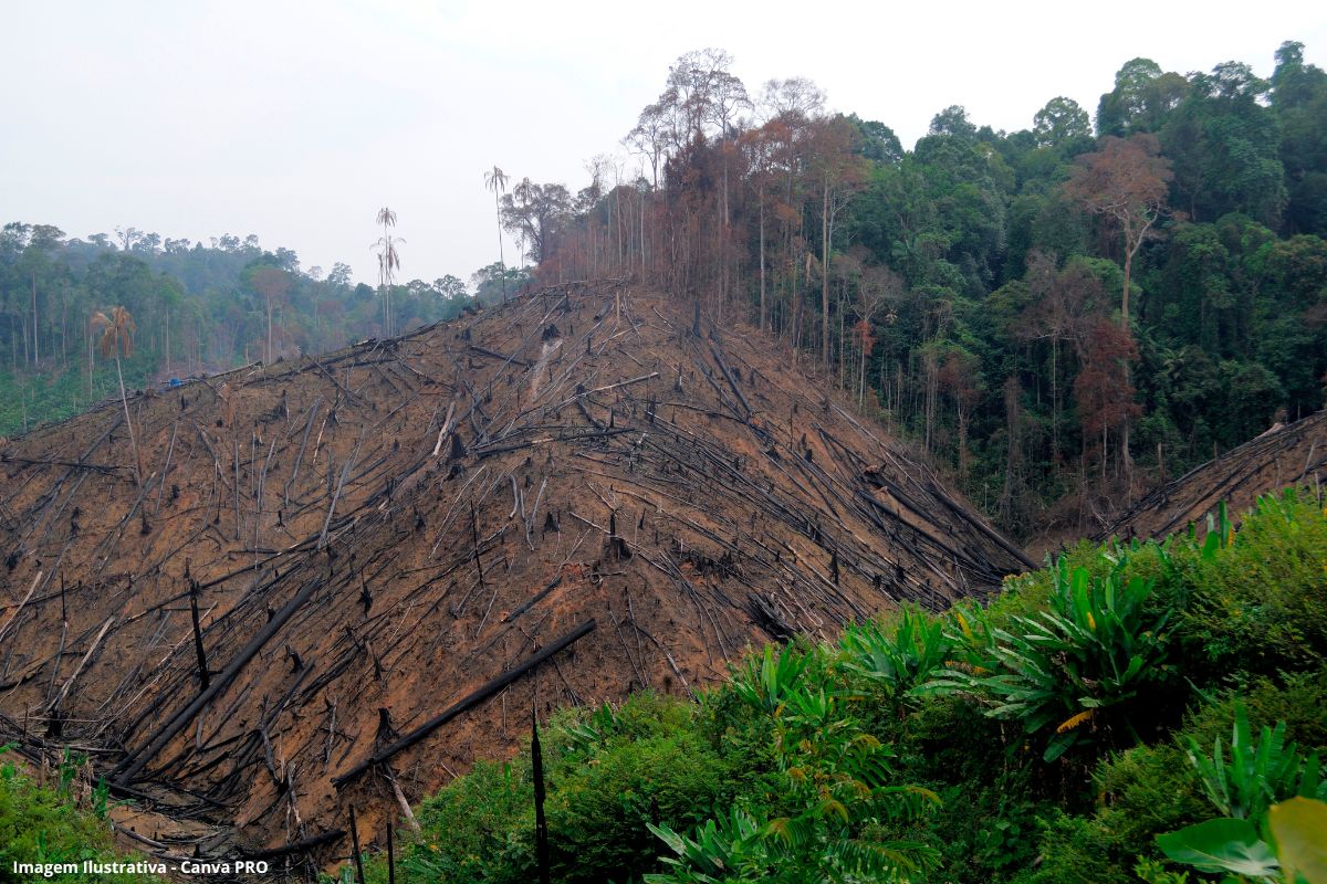 Produção e meio ambiente precisam de novo arranjore