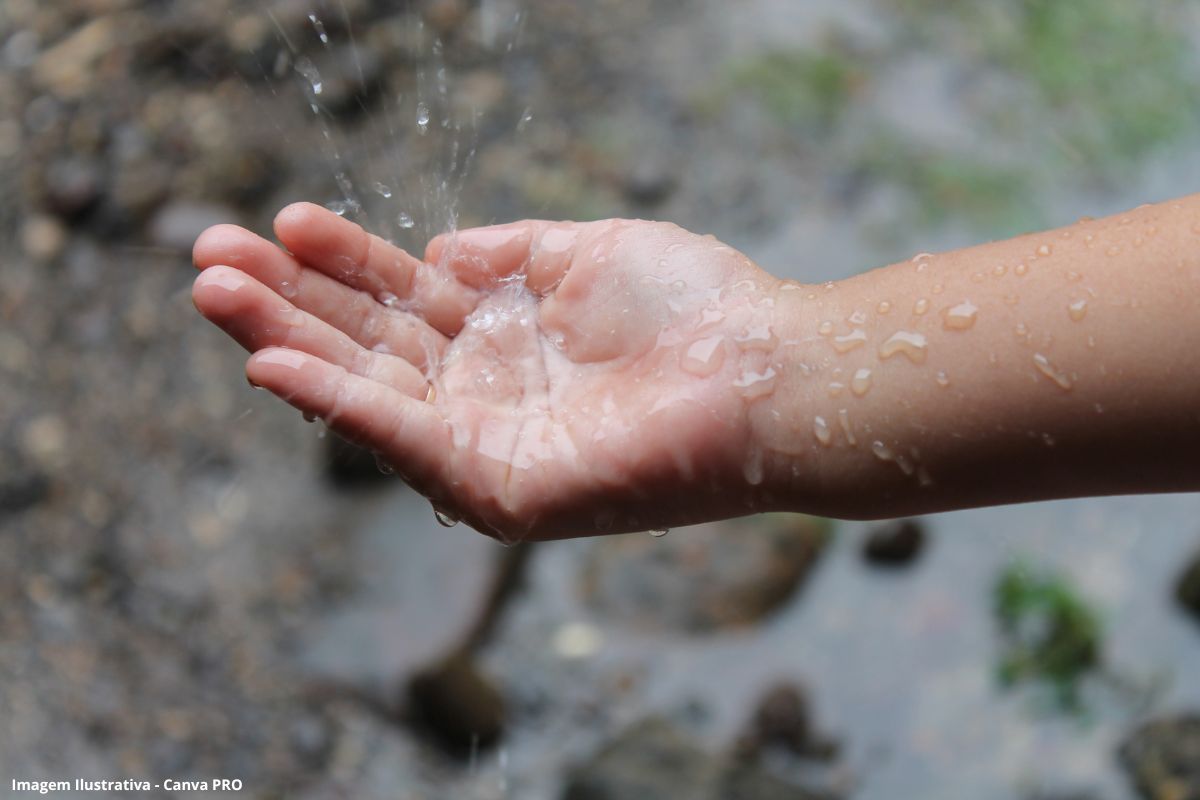 Água da chuva muda a rotina no campo e amplia segurança hídrica familiar