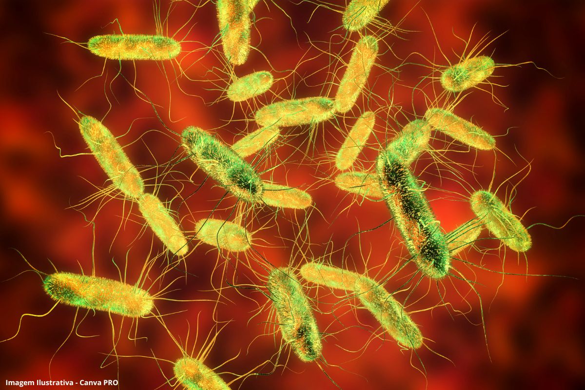 Mudanças climáticas aceleram resistência a antibióticos, aponta estudo