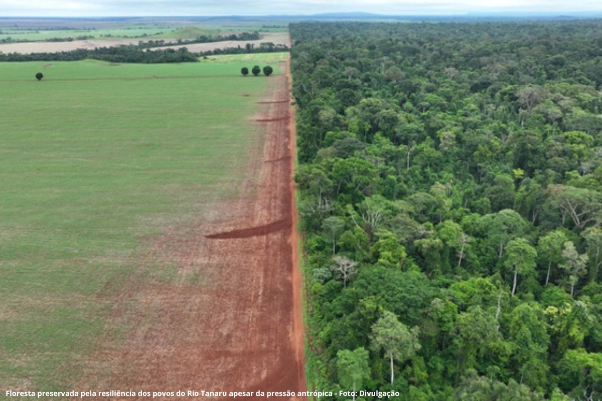 Presidente Lula assina ampliação e criação de Unidades de Conservação; são cerca de 100 mil hectares protegidos