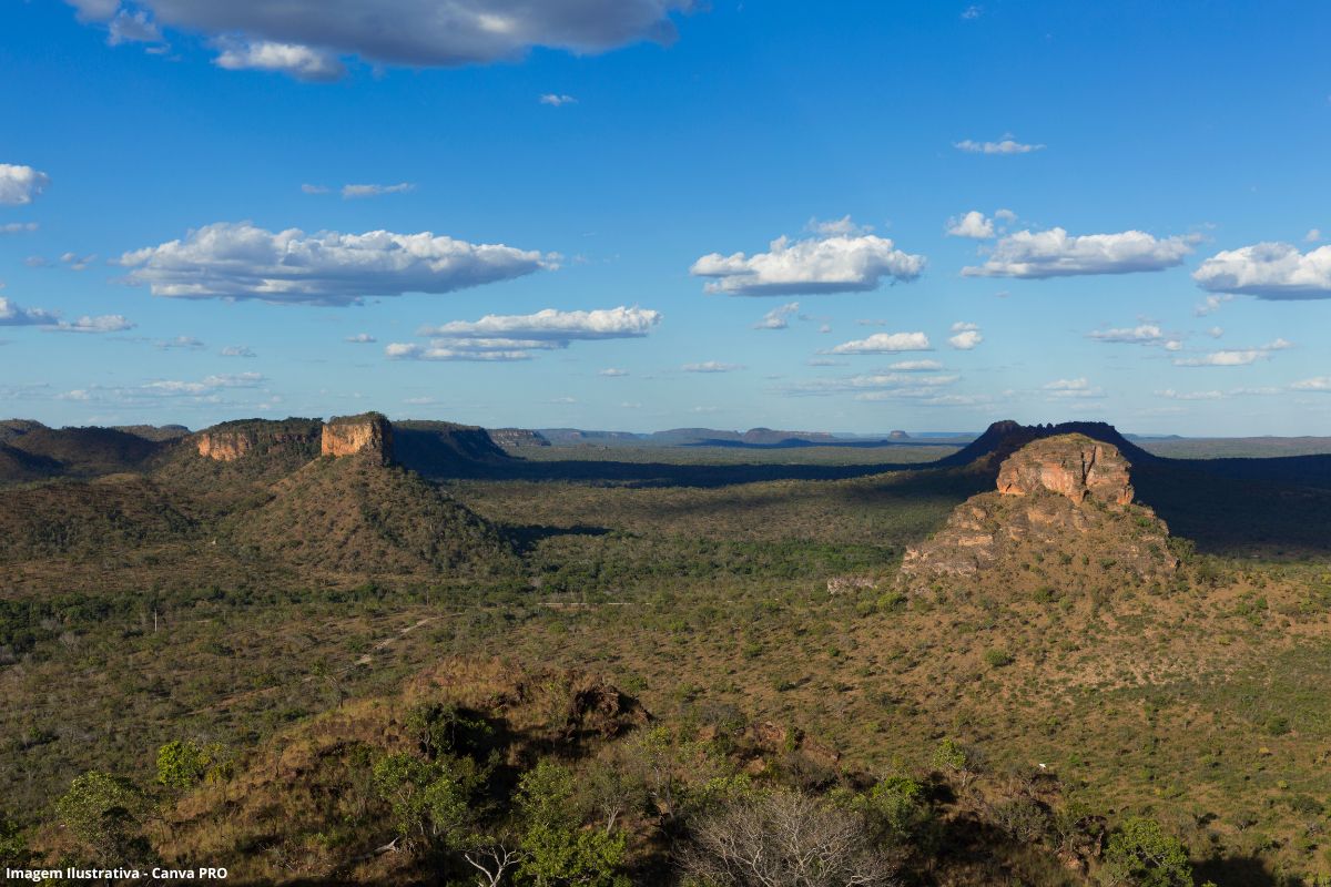 Cerrado perdeu 38% de água em rios e lagoas