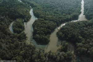 Entenda o que é a Organização do Tratado de Cooperação Amazônica (OTCA) e a Rede Amazônica de Autoridades de Água (RADA)