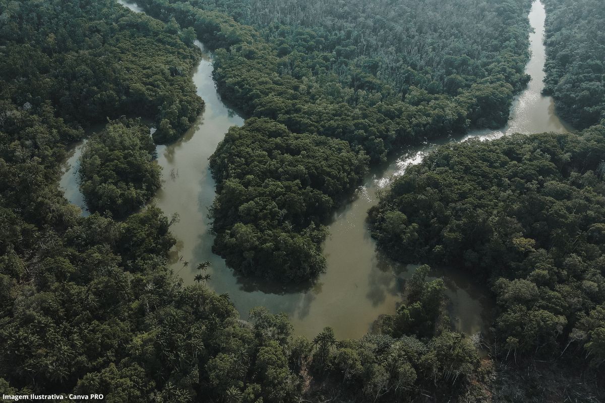 Entenda o que é a Organização do Tratado de Cooperação Amazônica (OTCA) e a Rede Amazônica de Autoridades de Água (RADA)