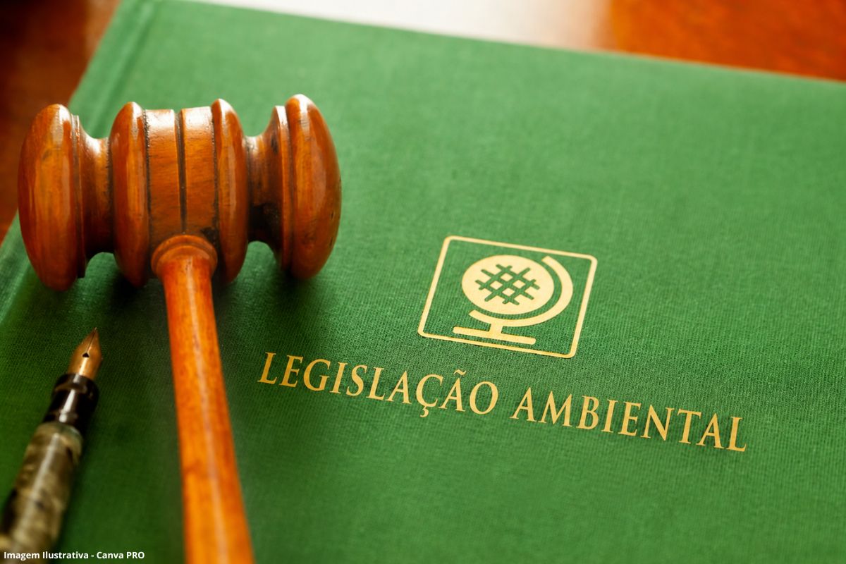 Nova lei de licenciamento regras claras para os financiamentos (1)