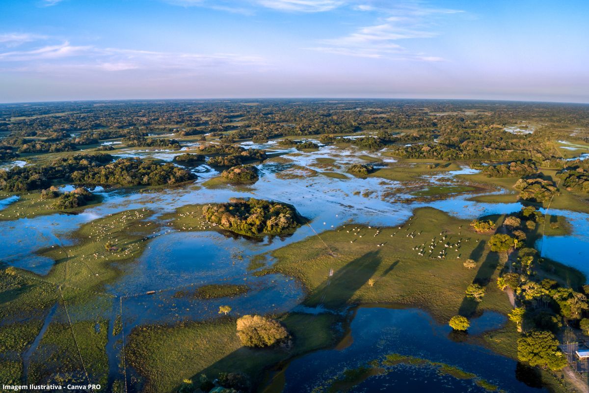 Pantanal perdeu mais de 80% da área de água superficial em quase quatro décadas, aponta estudo