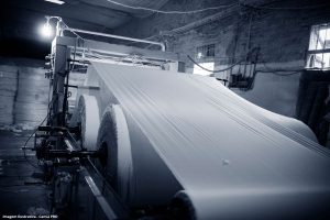 A Celulose do Futuro como a indústria florestal transforma madeira em combustíveis, biomateriais, têxteis — e reinventa o uso da água