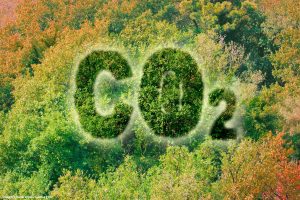 Agro pode movimentar até R$ 3,5 bilhões em dez anos com créditos de carbono “tipo exportação”, diz estudo