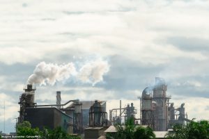 Brasil lança plano com 37 soluções para reduzir emissões de metano