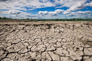 Brasil promete restaurar 163 mil km² de terras degradadas até 2030