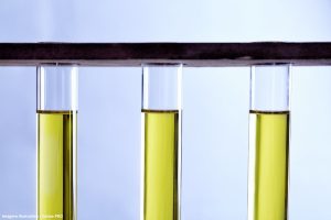 De resíduo a combustível JBS produz quase 1 bilhão de litros de biodiesel por ano