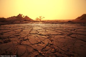 Desertificação no Brasil ameaça água, alimento e clima