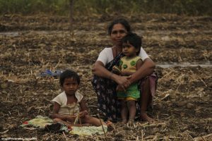 El Niño pode colocar 49 milhões de pessoas em insegurança alimentar