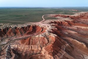 Fungos podem restaurar terras degradadas e combater crise climática