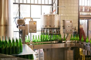 Heineken investe até R$ 460 milhões para concluir transição térmica renovável