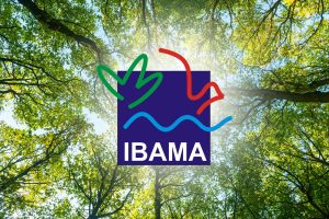 Ibama cria novas regras para conversão de multas ambientais em projetos de preservação (1)