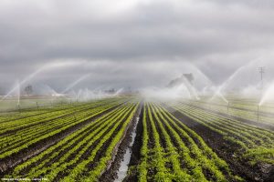O Brasil não tem falta de água. Tem falta de inteligência no uso dela
