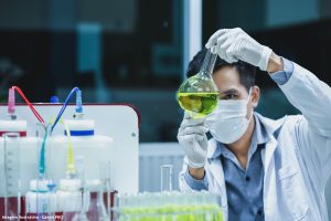 O custo farmacêutico da perda da biodiversidade