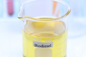 Pesquisa em MS testa limites do biodiesel para garantir diesel seguro